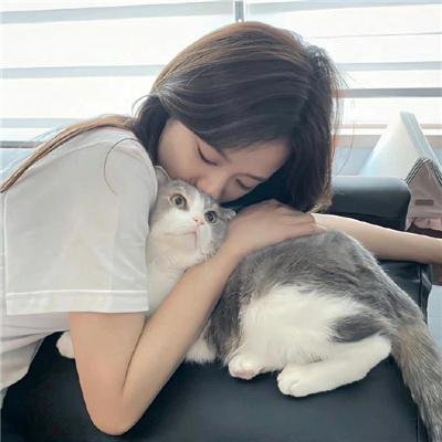 七号禁毒组