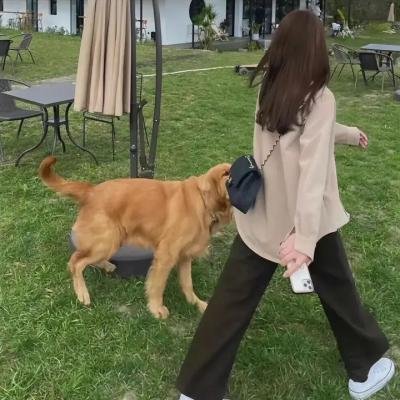 垂死挣扎